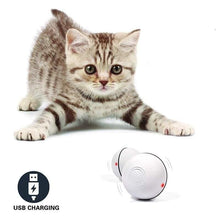 Load image into Gallery viewer, Catchy™ - The Smart Interactive Cat & Dog Toy