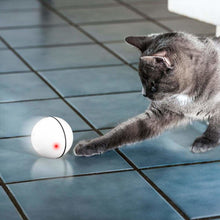Load image into Gallery viewer, Catchy™ - The Smart Interactive Cat & Dog Toy - 14:29#White