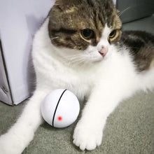 Load image into Gallery viewer, Catchy™ - The Smart Interactive Cat & Dog Toy - 14:29#White