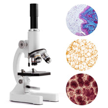 Load image into Gallery viewer, 64X-2400X Children’s Microscope