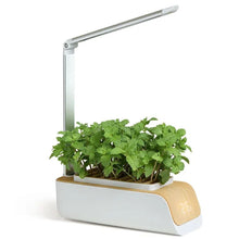 Load image into Gallery viewer, HydroPot™ - The Intelligent Indoor Garden Growing System
