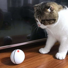 Load image into Gallery viewer, Catchy™ - The Smart Interactive Cat &amp; Dog Toy - 14:29#White

