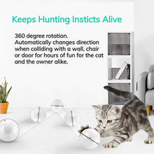 Load image into Gallery viewer, Catchy™ - The Smart Interactive Cat &amp; Dog Toy
