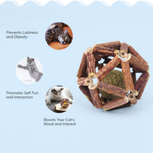 Load image into Gallery viewer, Catnip Wooden Ball Cat Toy
