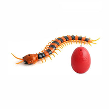 Load image into Gallery viewer, Centipede Interactive Cat Toy - Orange
