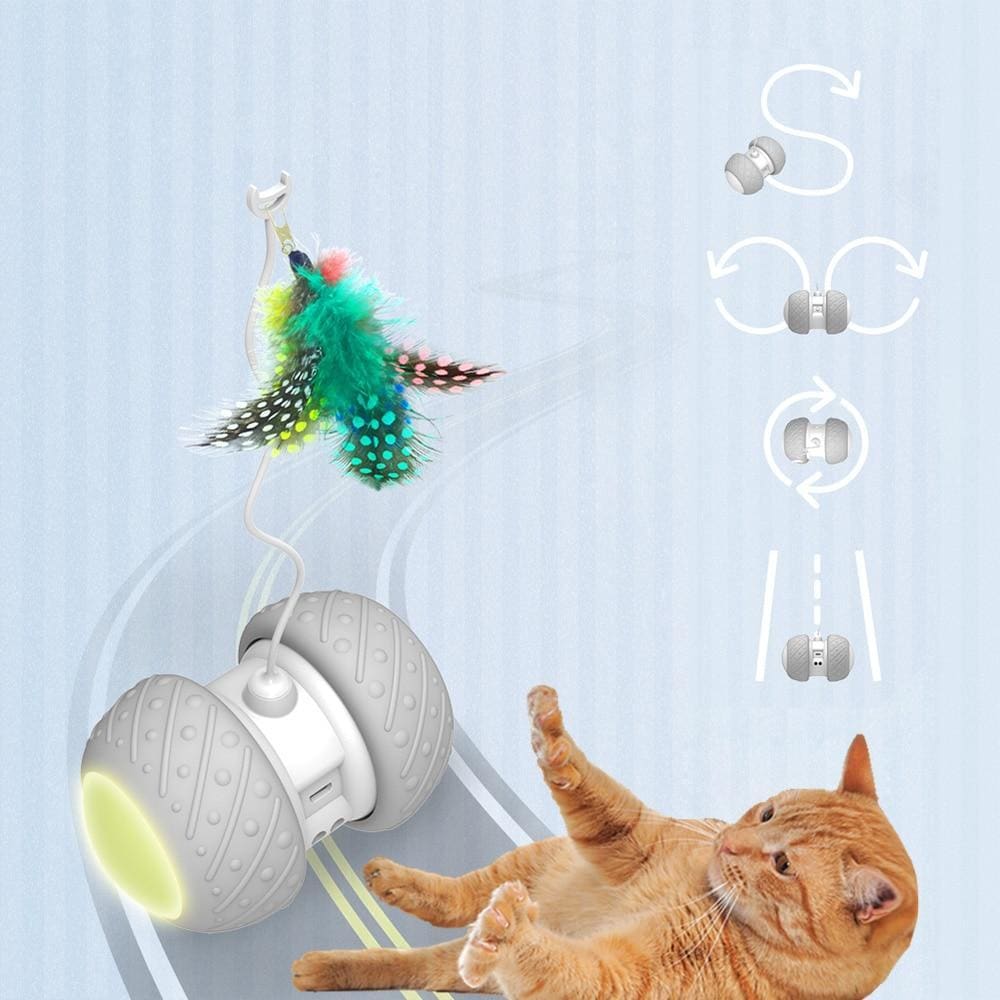 Automatic Spinning Cat Toy, Interactive Cat Wheel Toy, Electronic Self ...