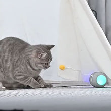 Load image into Gallery viewer, FeliWheel - Automatic Multi-track Spinning Cat Toy
