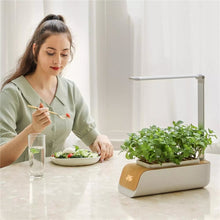 Load image into Gallery viewer, HydroPot™ - The Intelligent Indoor Garden Growing System
