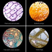 Load image into Gallery viewer, Miniverse™ - The 64X-2400X Children’s Microscope
