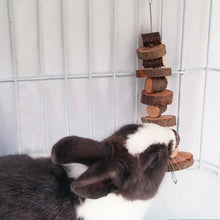 Load image into Gallery viewer, Munchies™ - Small Animal Chew Toy
